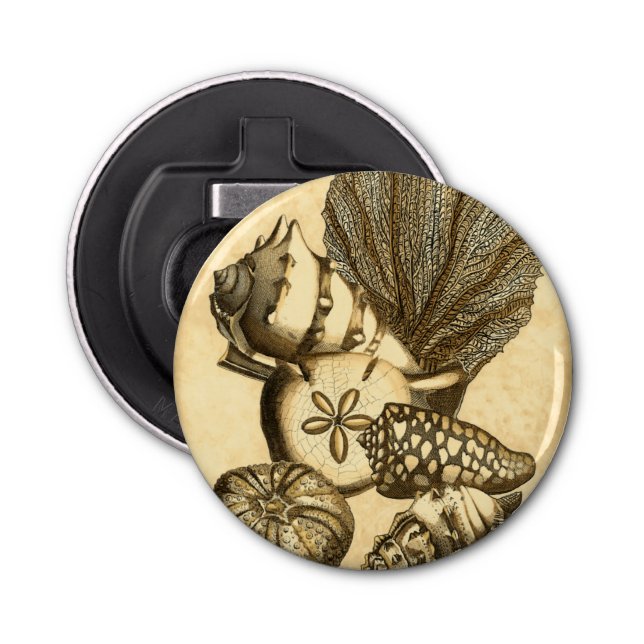 Snäckor för neutralt och korallsamling flasköppnare (Framsidan)