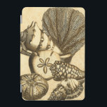 Snäckor för neutralt och korallsamling iPad mini skydd<br><div class="desc">Gå under vattnet för att utforska havet med alla dessa olika havslevande varelser. Denna vintage biet av konst är en perfekt som tillfogas varje älskare av anemon. Få din konst utskriven idag på din produkt.</div>