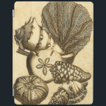 Snäckor för neutralt och korallsamling iPad skydd<br><div class="desc">Gå under vattnet för att utforska havet med alla dessa olika havslevande varelser. Denna vintage biet av konst är en perfekt som tillfogas varje älskare av anemon. Få din konst utskriven idag på din produkt.</div>