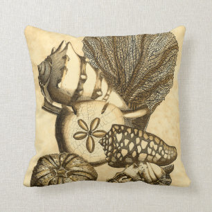 Snäckor för neutralt och korallsamling kudde