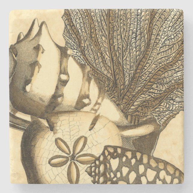 Snäckor för Neutralt och korallsamling Stenunderlägg (Framsidan)