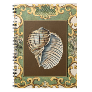 Snäckor för små Sjöjungfruar Anteckningsbok Med Spiral