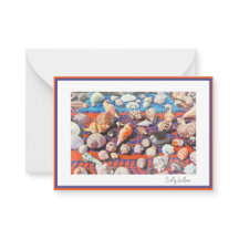 Snäckor för vintage - stationär