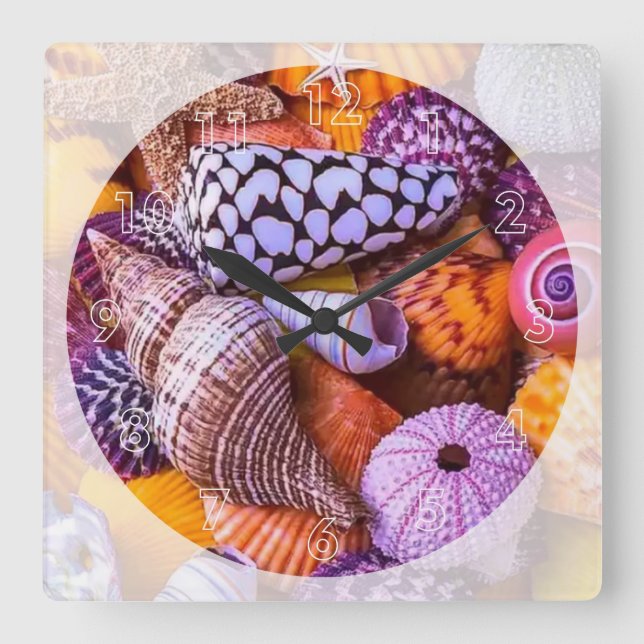snäckor fyrkantig klocka (Framsida)