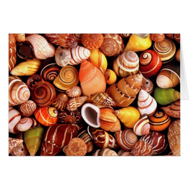 Snäckor Hälsningskort (Framsidan Horizontal)