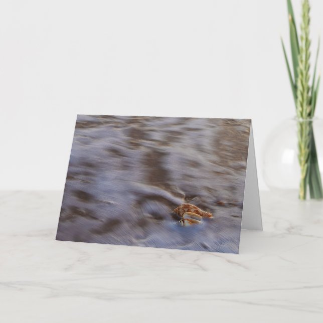 Snäckor i Surfans hälsningskort Kort (Framsida)