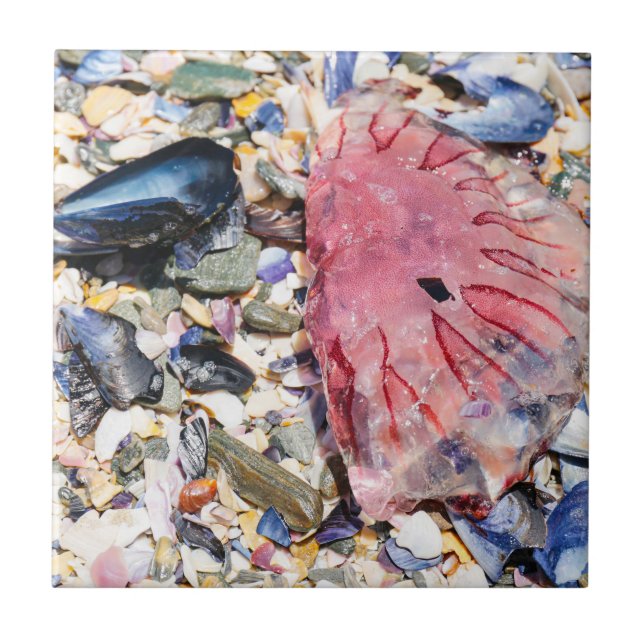 Snäckor Jellyfish Ocean Beach View Kakelplatta (Framsidan)