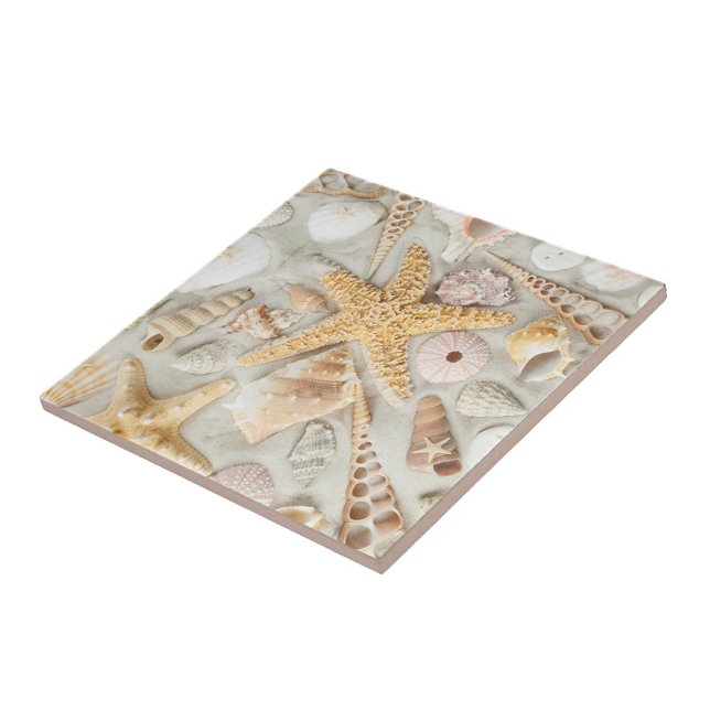 Snäckor Kakelplatta (Starfish Seashells Cermic Tile!)