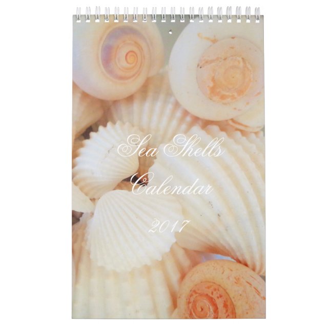 Snäckor Kalender 2017 Exotic Tropical Romantic (Omslag)