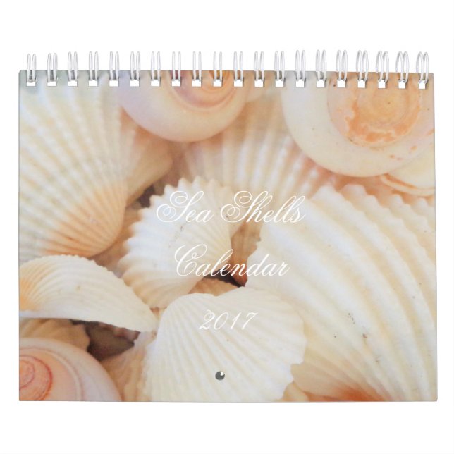 Snäckor Kalender 2017 Exotic Tropical Romantic (Omslag)