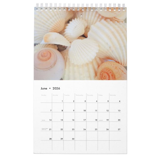 Snäckor Kalender 2024 Exotic Tropical Romantic (Jun 2026)
