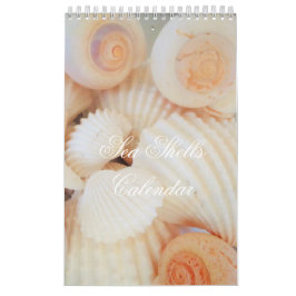 Snäckor Kalender Exotic Tropical Romantic