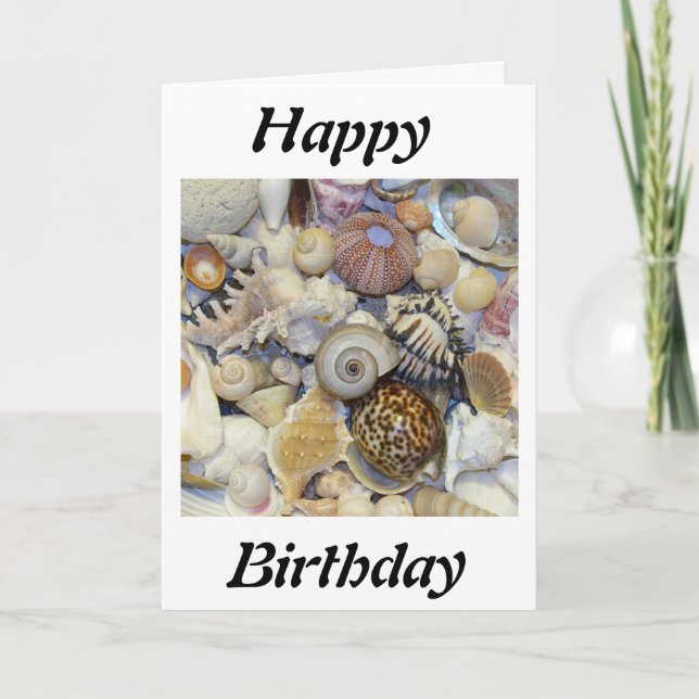 snäckor kort (Framsida)