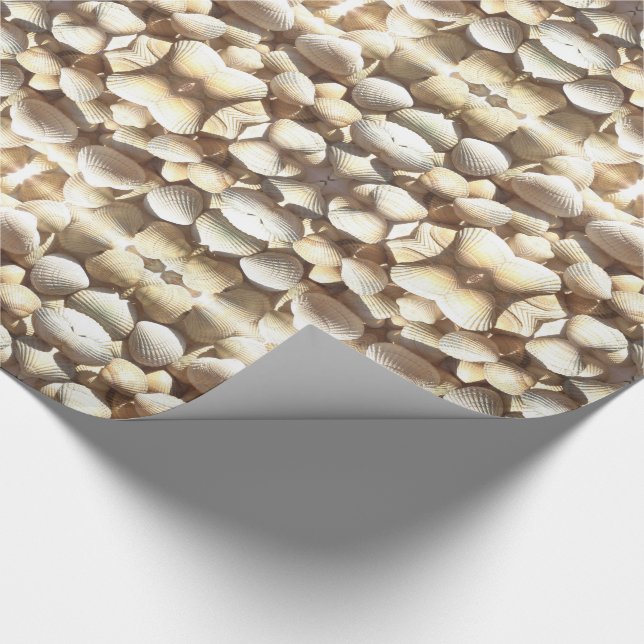 Snäckor Mönster Sommarens naturskuggor vid Brown Presentpapper (Hörn)