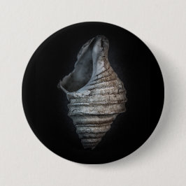 Snäckor nr 6 Färg version Knapp