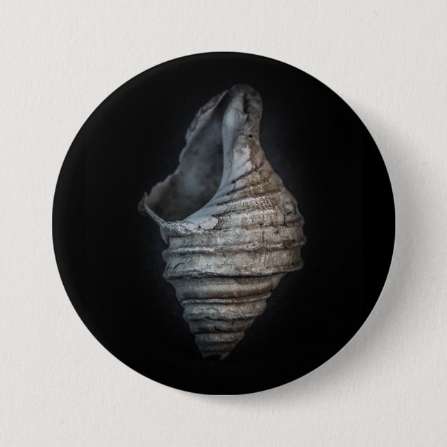 Snäckor nr 6 Färg version Knapp (Framsida)