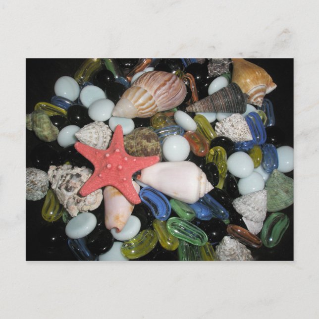Snäckor och stenar vykort (Framsida)