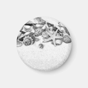 Snäckor och stjärnfiskmagnet magnet