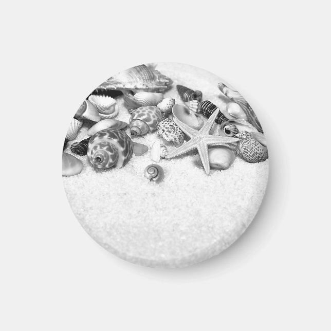 Snäckor och stjärnfiskmagnet magnet (Framsidan)