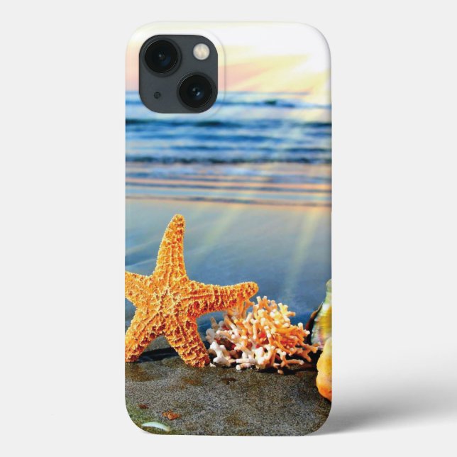 Snäckor och svält på strand (Baksida)