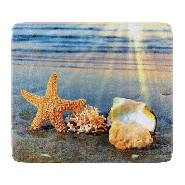 Snäckor och svält på strand (Framsidan)