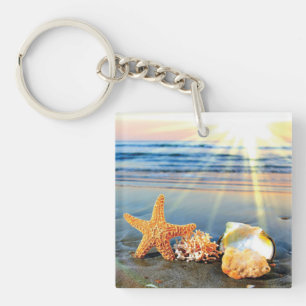 Snäckor och svält på strand