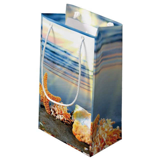 Snäckor och svält på strand (Baksidan Vinklad)