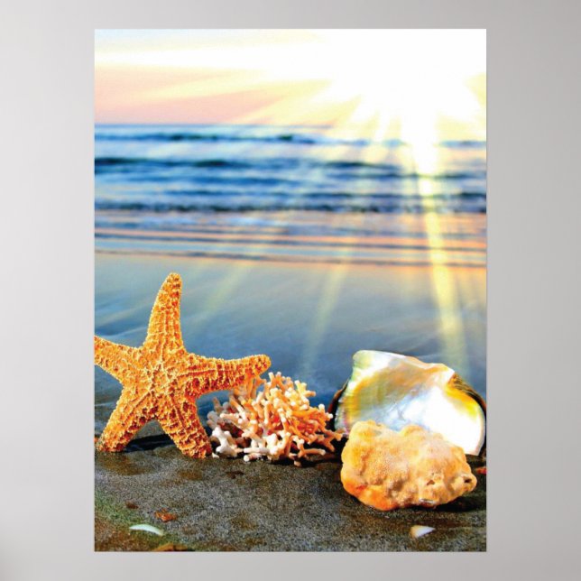 Snäckor och svält på strand poster (Framsidan)