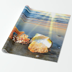 Snäckor och svält på strand presentpapper