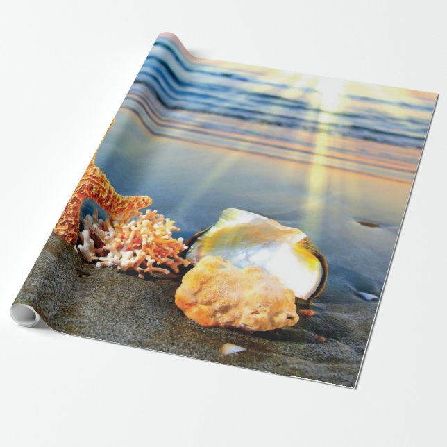 Snäckor och svält på strand presentpapper (Utrullad)
