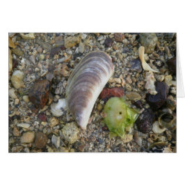 Snäckor på en Beach Hälsningskort