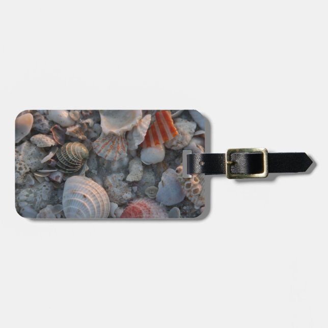 Snäckor på sanden bagagebricka (Horisontell Framsida)