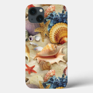 Snäckor på strand