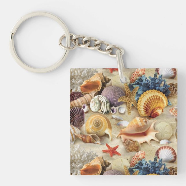 Snäckor på strand (Framsidan)