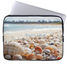 Snäckor på stranden