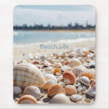 Snäckor på stranden