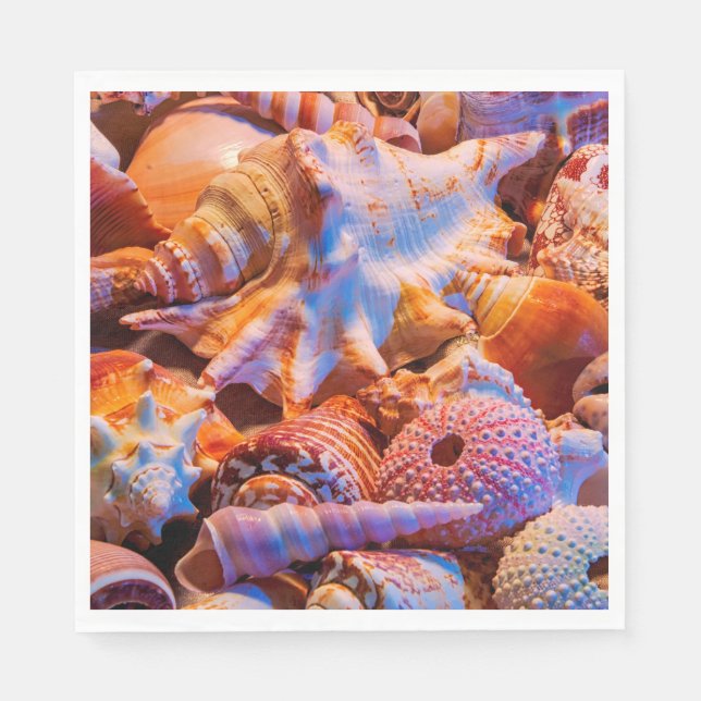 Snäckor Pappersservett (Framsidan)