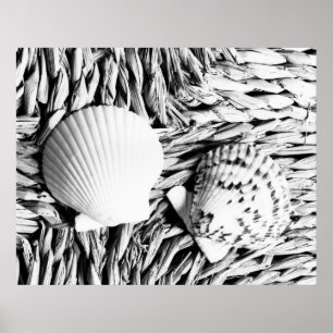 Snäckor Poster