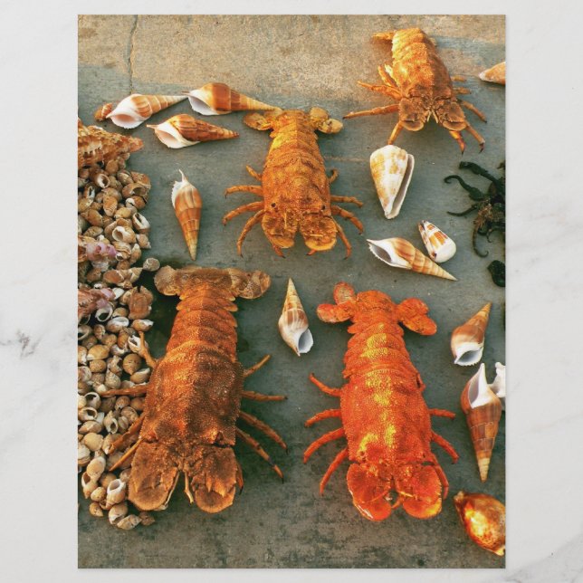 Snäckor Reklamblad (Framsidan)