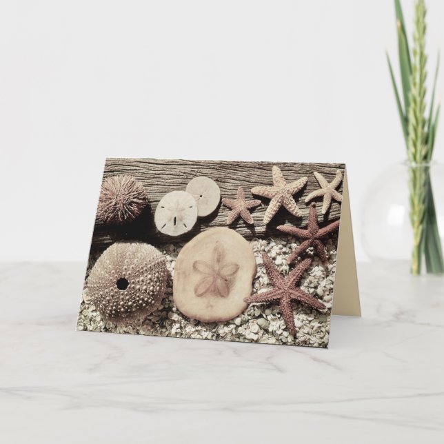 Snäckor Sanibel & Captiva-kort Kort (Framsida)