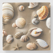 Snäckor Sea Life Beach Ocean Art Decor