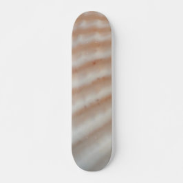 Snäckor Sommarbuss Exotic Tropical Skateboard
