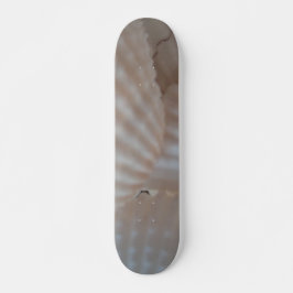 Snäckor Sommarbuss Exotic Tropical Skateboard