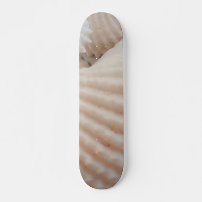 Snäckor Sommarbuss Exotic Tropical Skateboard (Framsida)