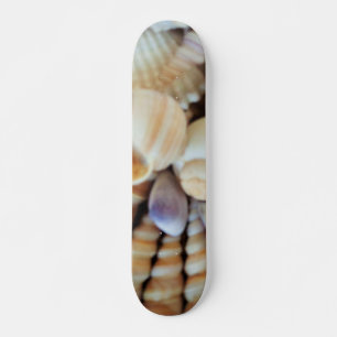 Snäckor Sommarbuss Exotic Tropical Skateboard