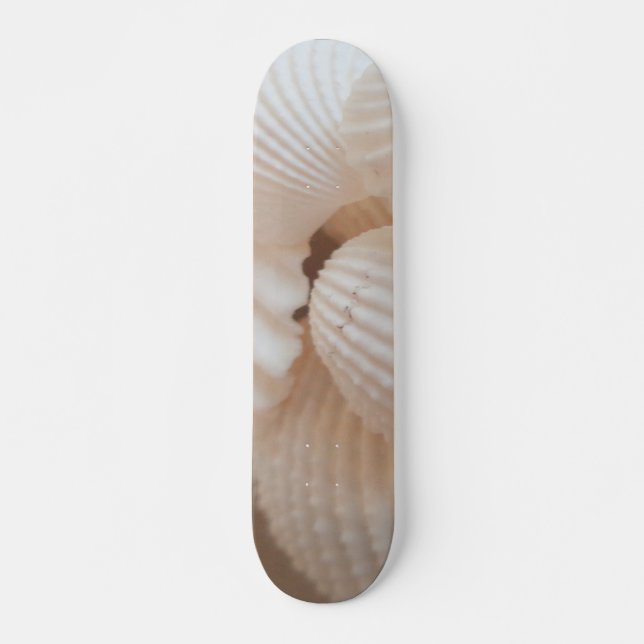 Snäckor Sommarbuss Exotic Tropical Skateboard Bräda 20 Cm (Framsida)
