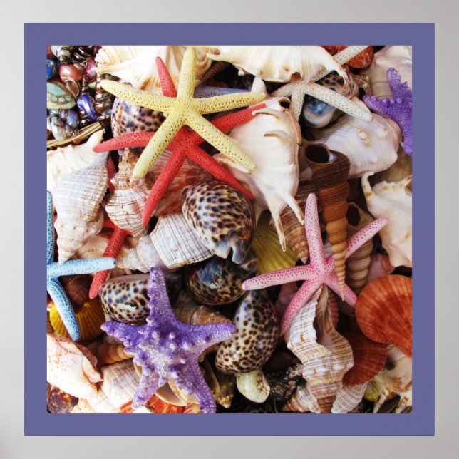 Snäckor Starfish Colorful Snäcka Poster (Framsidan)