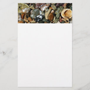 Snäckor, Sten och korallatfotografi Brevpapper