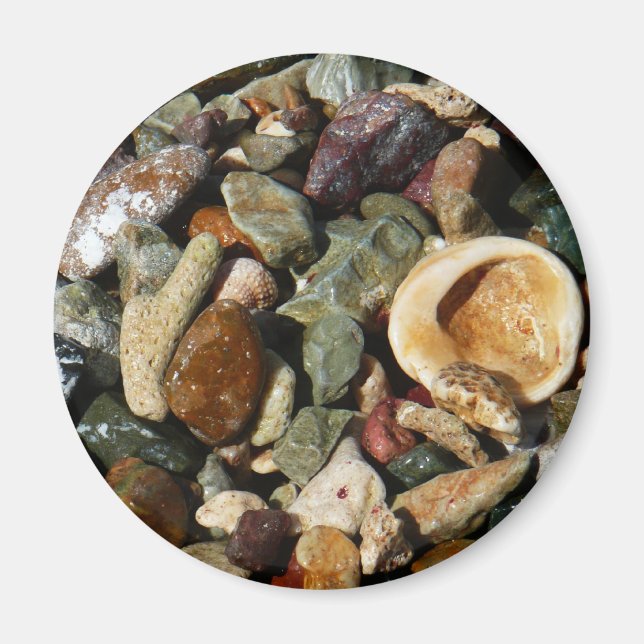 Snäckor, Sten och korallatfotografi Magnet (Framsidan)