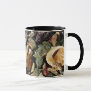 Snäckor, Sten och korallatfotografi Mugg
